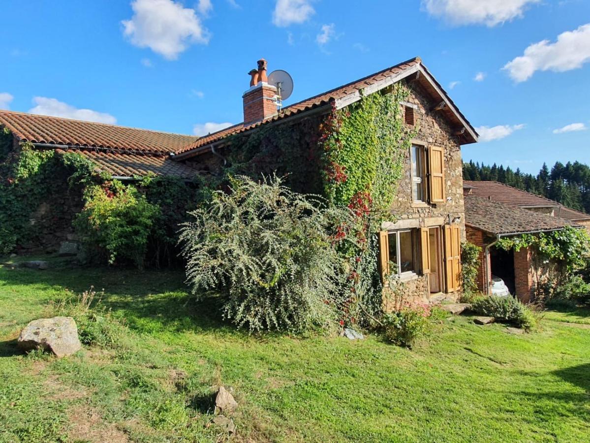 Eco-Gite Cottage Panoramique, Terrasses, Baby Foot, 150 M2 Renove Et Agrandi En 2024, Activites Proposees Champagnac-le-Vieux Bagian luar foto